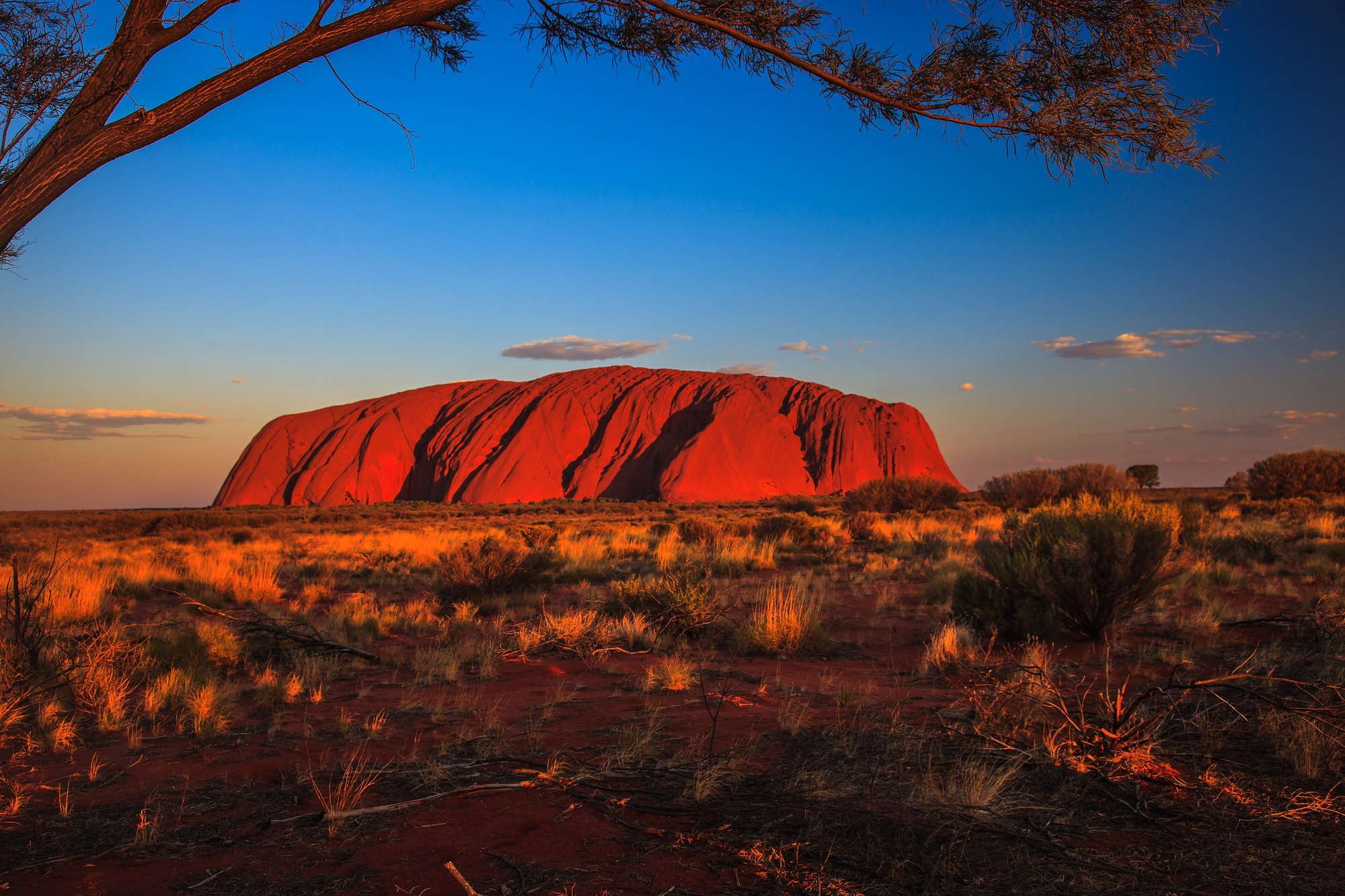 Uluru ao entardecer, no outback australiano